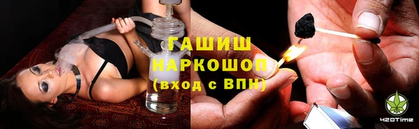 СК Аркадак