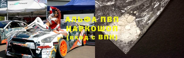 СК Аркадак
